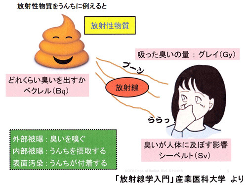 放射性物質をうんちに例えると