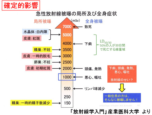 確定的影響　急性放射線被曝の局所及び全身症状