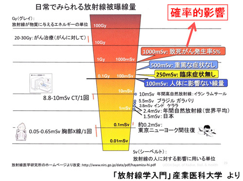 日常でみられる放射線被曝線量