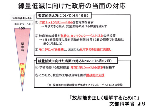 線量低減に向けた政府の当面の対応