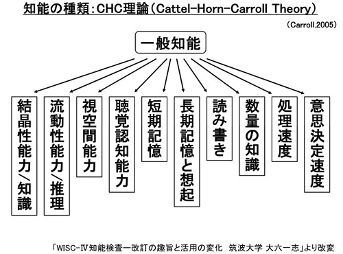 知能の種類：CHC理論（Cattel-Horn-Carroll-Theory）