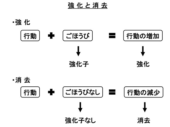 強化と消去