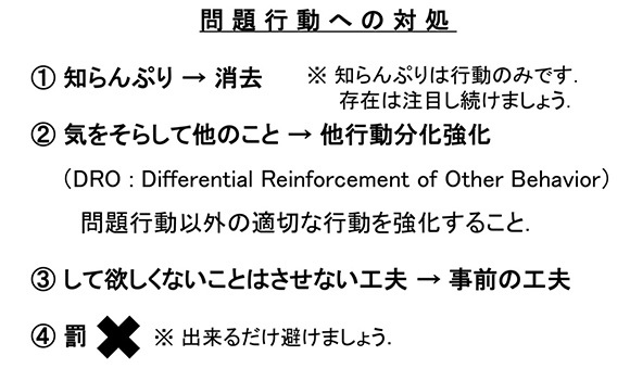 問題行動への対処