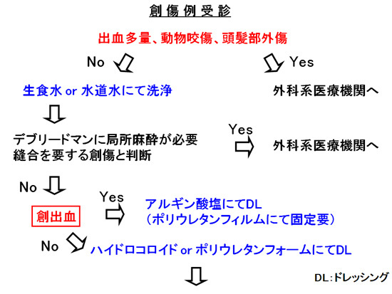 創傷例受診