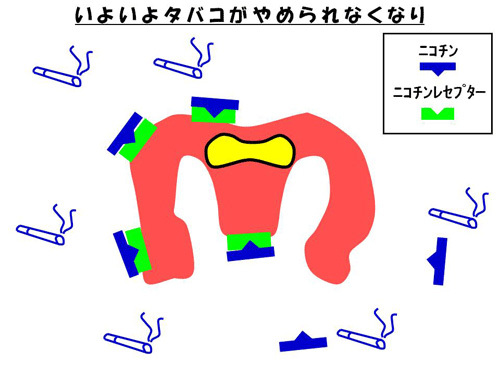 いよいよタバコがやめられなくなり