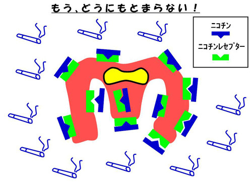 もう、どうにもとまらない！