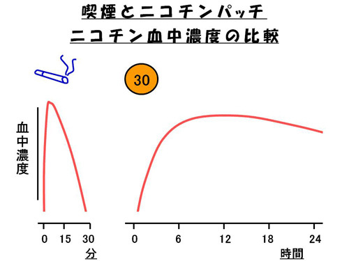 喫煙とニコチンパッチ　ニコチン血中濃度の比較