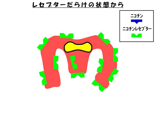 レセプターだらけの状態から