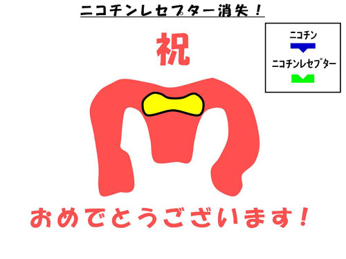 ニコチンレセプター消失！