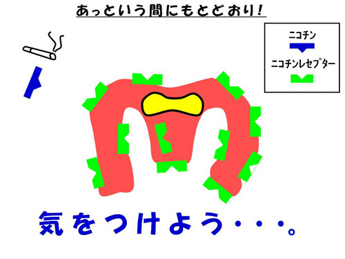 あっという間にもとどおり！